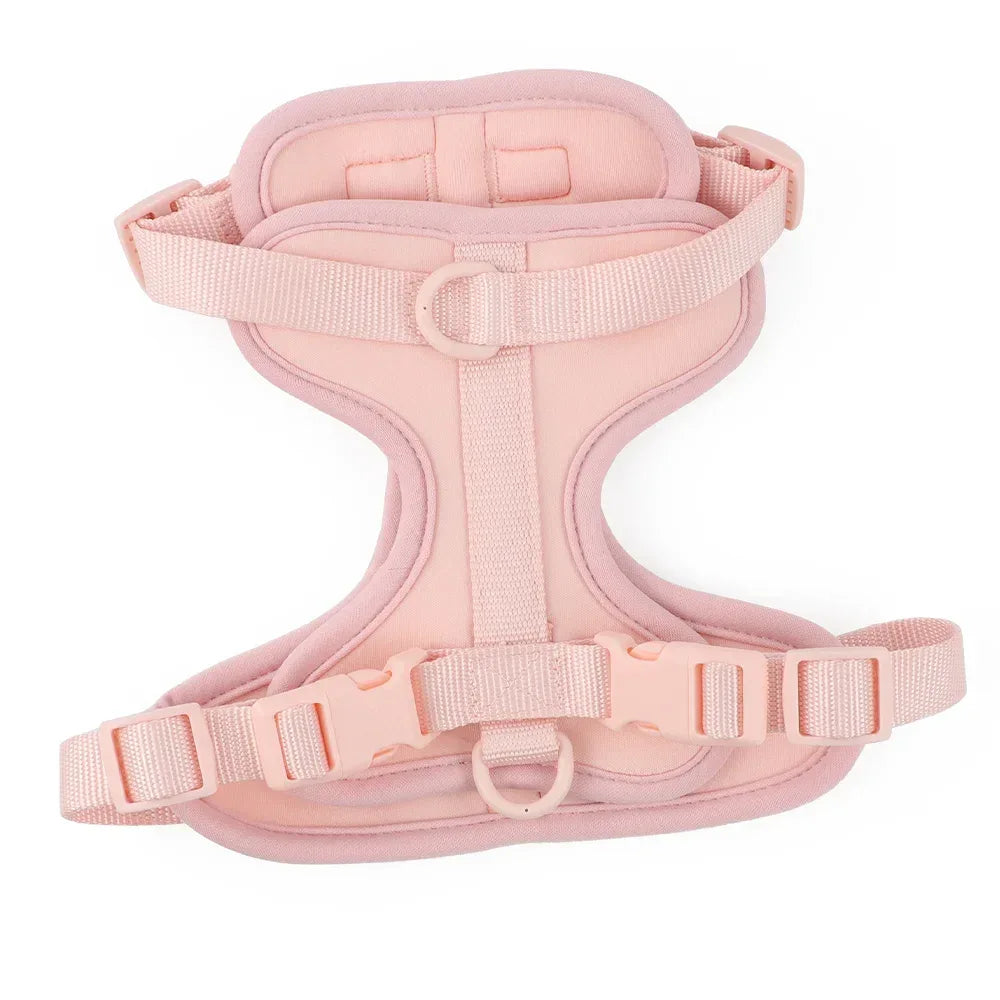 Hondenriem en Tuig Set Licht Roze Dubbele Pvc Leiband - Ruffy