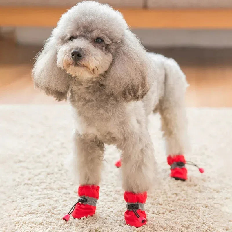 Antislip Waterdichte Regenlaarzen Voor Honden - Ruffy