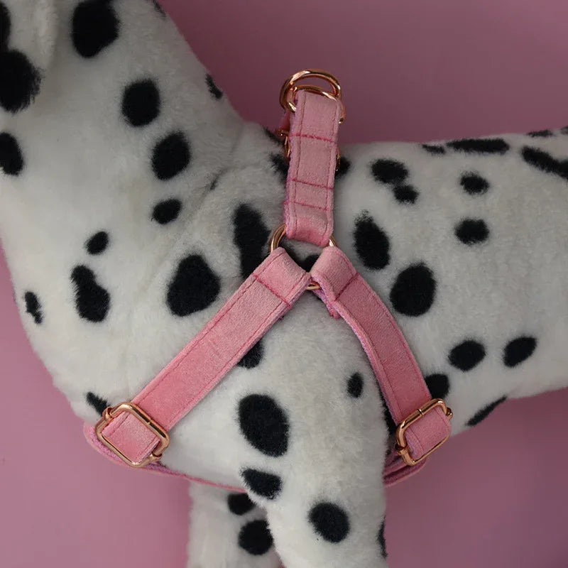 Stijlvolle Bloemmotief Hondenset Met Halsband, Harnas, Riem en Bloemenaccessoire - Ruffy