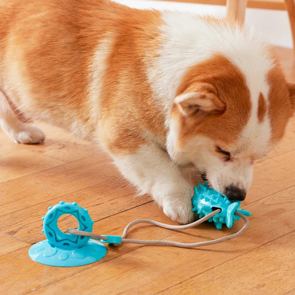 Hond Zuignap Traktatiespeeltje - Ruffy