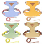 Kleine Honden Tuig Pastel Kleuren - Ruffy