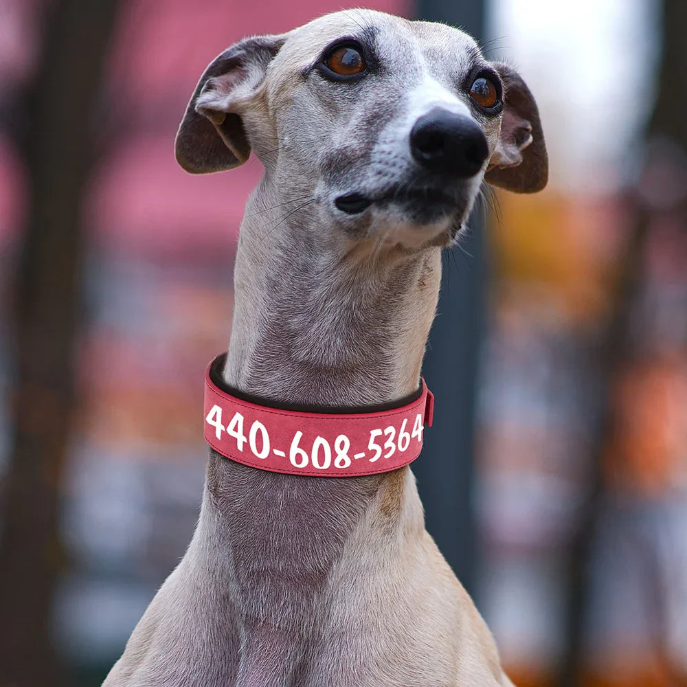 Brede Gepersonaliseerde Hondenhalsband - Ruffy