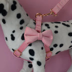 Stijlvolle Bloemmotief Hondenset Met Halsband, Harnas, Riem en Bloemenaccessoire - Ruffy