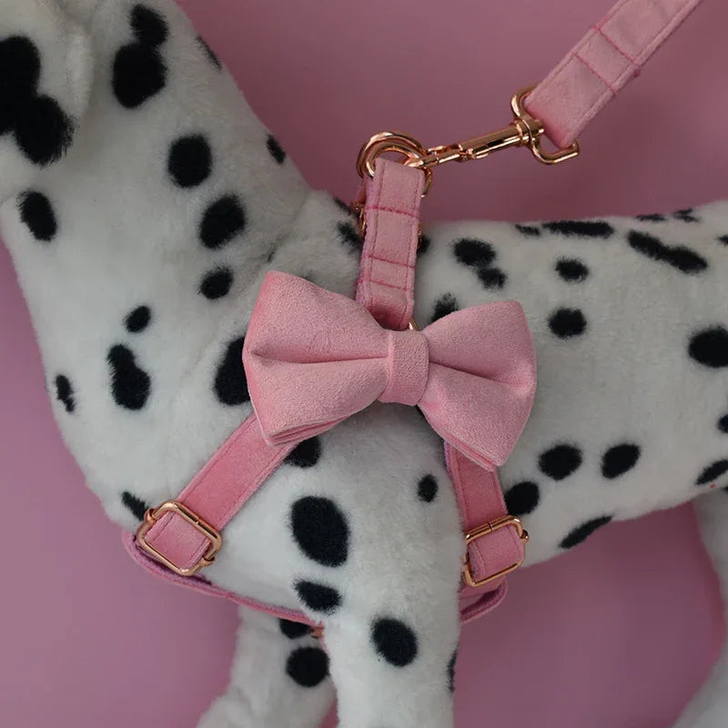 Stijlvolle Bloemmotief Hondenset Met Halsband, Harnas, Riem en Bloemenaccessoire - Ruffy