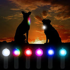 Ultra-Bright LED Pet Collar Light Waterdicht met lange levensduur van de batterij voor nachtelijke wandelingen - Ruffy