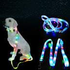 LED-Up Leash Verlichte Hondenriem USB Oplaadbaar Veilig Zichtbaar Duurzaam PVC Ergonomisch Handvat - Ruffy