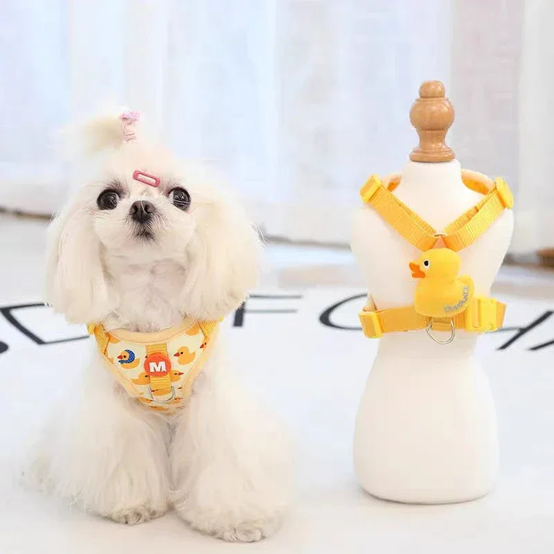 Houd Je Hond Veilig en Stijlvol - Ruffy