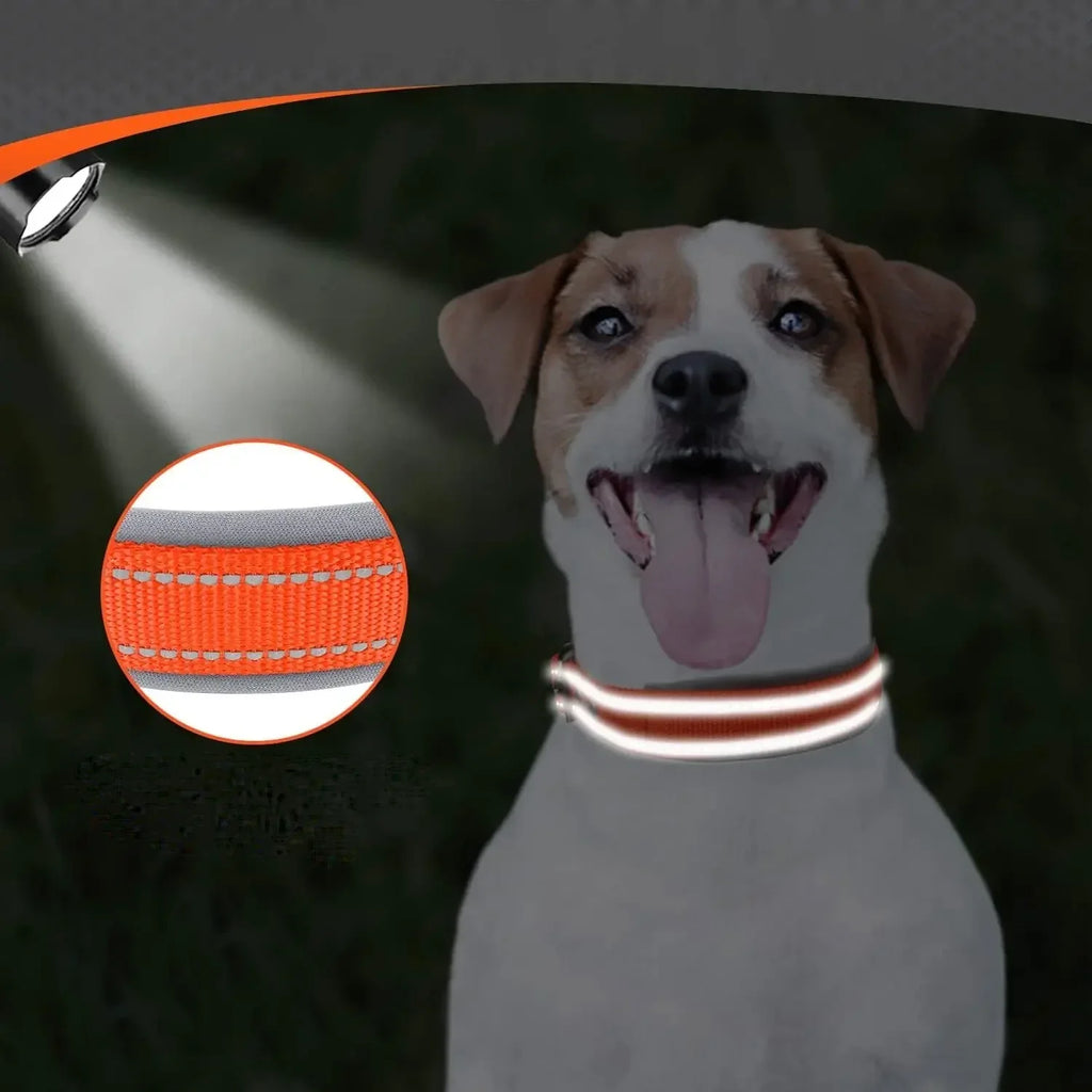 Neopreen Gevoerde Hondenhalsband extra Sterk En Reflecterend - Ruffy