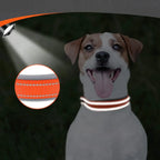 Neopreen Gevoerde Hondenhalsband extra Sterk En Reflecterend - Ruffy