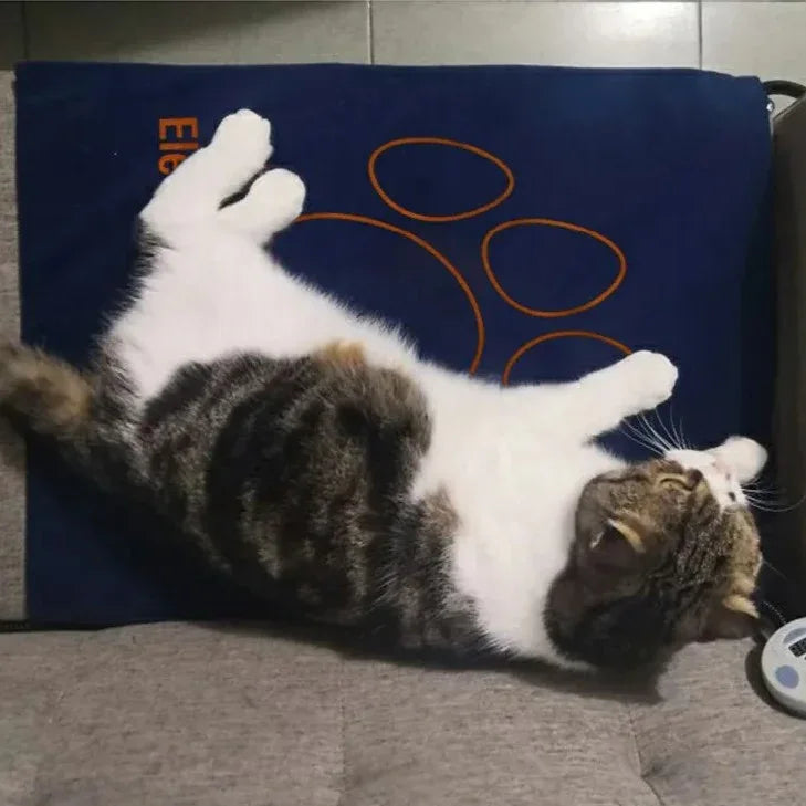 Elektrische Verwarmingsdeken voor Honden Veilig Zacht Duurzaam Geschikt voor Bedden en Kratten 60x45cm - Ruffy