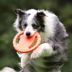 Interactieve Rubber Honden Frisbee - Ruffy