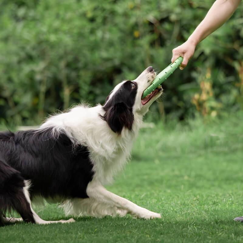 Interactieve Rubber Honden Frisbee - Ruffy