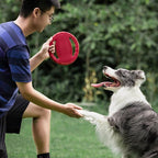 Interactieve Rubber Honden Frisbee - Ruffy