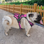 Gepersonaliseerd Reflecterend Antitrek Hondentuig - Ruffy
