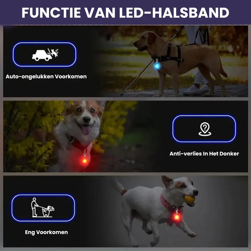 Halsband Voor Honden Met Nachtveiligheids-LED Lampje - Ruffy