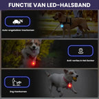 Halsband Voor Honden Met Nachtveiligheids-LED Lampje - Ruffy