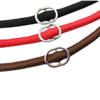 2-in-1 Training Hondenslipriem P-vormig Duurzaam Veelzijdig Precieze Controle Nylon 150cm - Ruffy