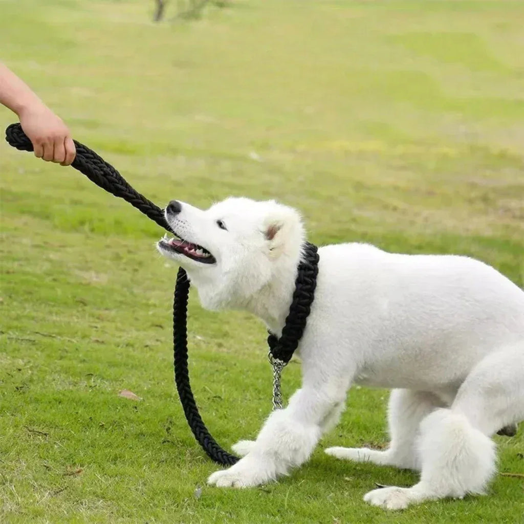 Hondenriem | Sterk Geweven Nylon | Heavy Duty | Middelgrote & Grote Honden - Ruffy