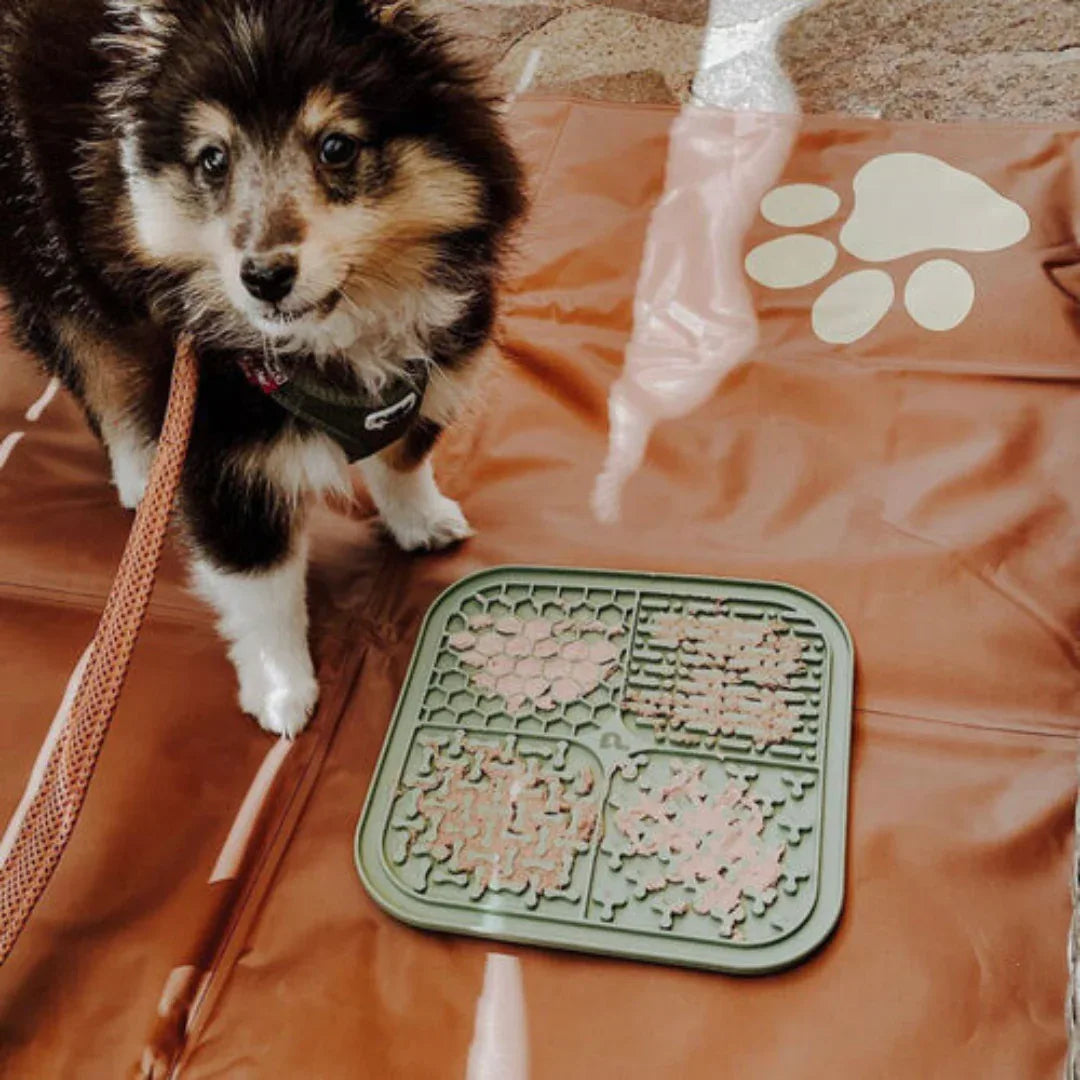 Siliconen Likmat voor Honden Antislip Slowfeeder voor Droog en Nat Voer - Ruffy