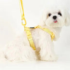 Lichte Kleur Hondentuig Leiband Set Voor Kleine Honden - Ruffy