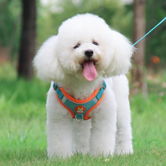 Reflecterend Hondenharnas Voor Kleine Honden Veiligheid Comfort Verstelbaar Dubbele Vergrendeling Polyestermix - Ruffy