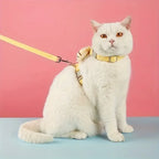 Schattig bijenharnas voor honden en katten met bijpassende riem – verstelbaar en ademend - Ruffy
