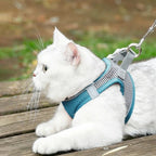 Houd je Kat Veilig en Comfortabel tijdens Avonturen - Ruffy
