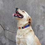 Gepersonaliseerde Nylon Halsband - Ruffy