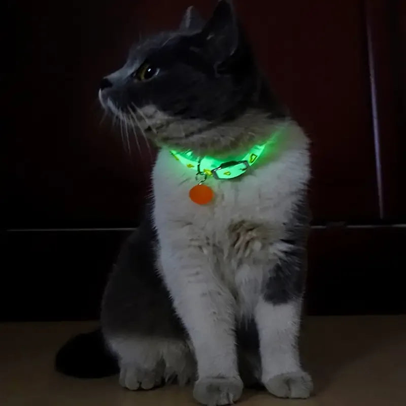 Oplichtende kattenhalsband met pootpatroon – verstelbaar duurzaam en weerbestendig - Ruffy