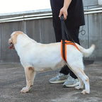 Hondenbeen Hulp Riem - Ruffy