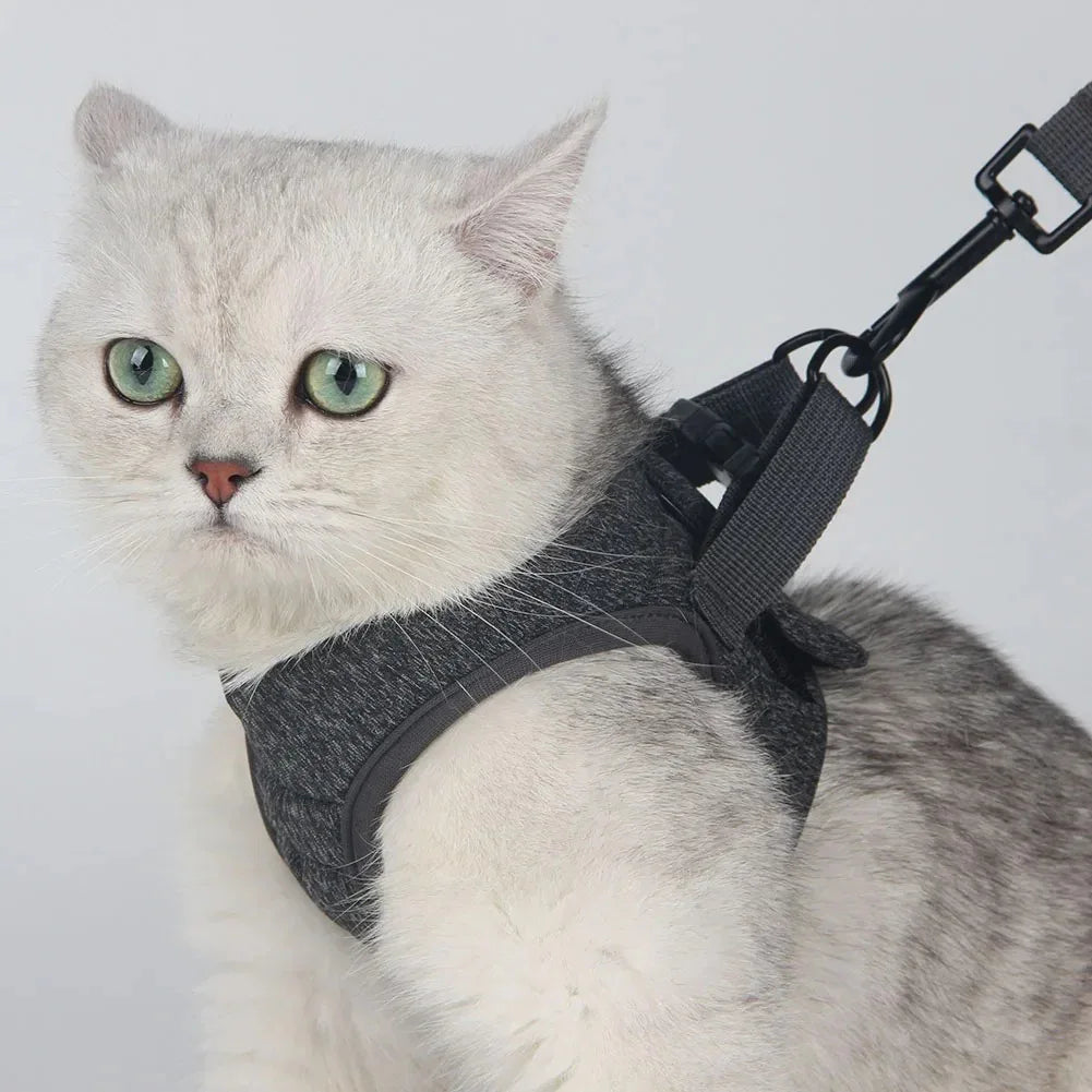 Luxe verstelbaar kattentuigje met bijpassende riem – Stijlvol en comfortabel voor dagelijkse wandelingen - Ruffy