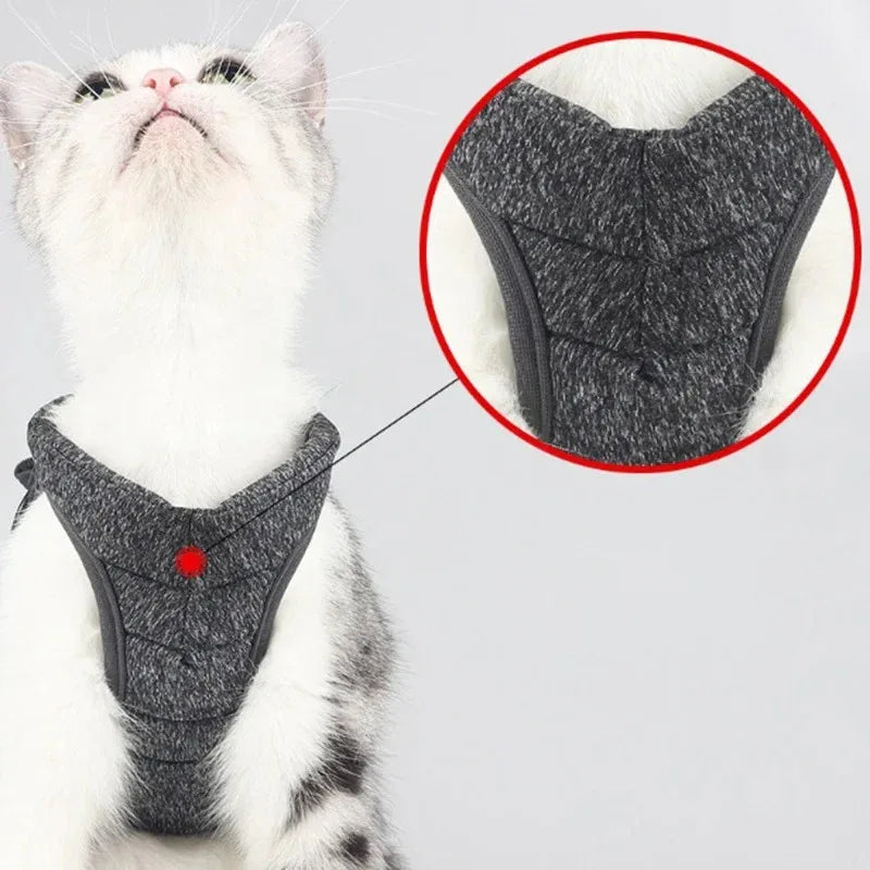 Luxe verstelbaar kattentuigje met bijpassende riem – Stijlvol en comfortabel voor dagelijkse wandelingen - Ruffy