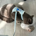 Veilig en Stijlvol Katten-Tuig voor Ontspannen Wandelingen - Ruffy