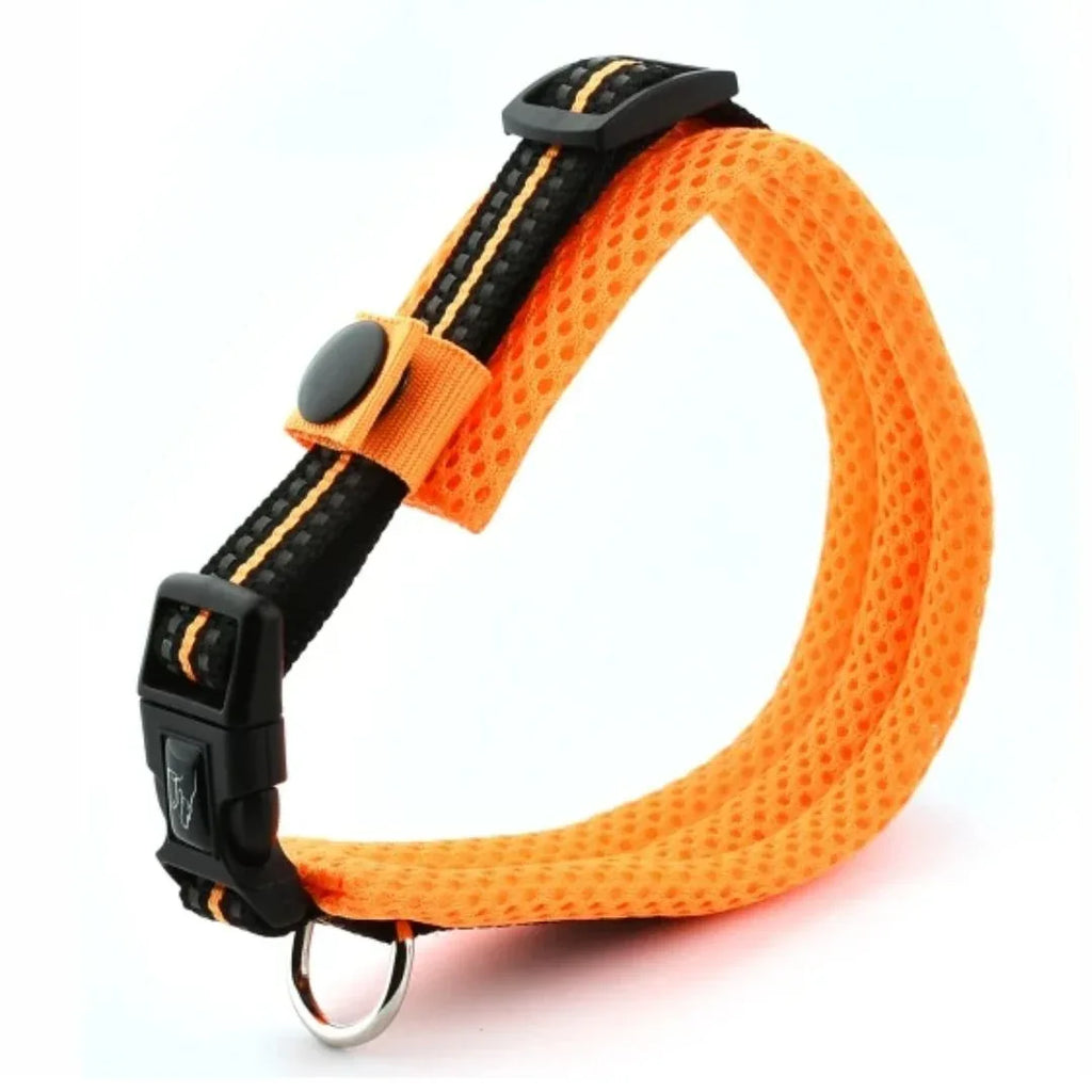 Verstelbare Gevoerde Reflecterende Nylon Hondenhalsband Comfortabel Duurzaam Veilig Voor Training en Wandelingen - Ruffy