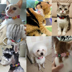 Bloemen leren hondenhalsband - Ruffy