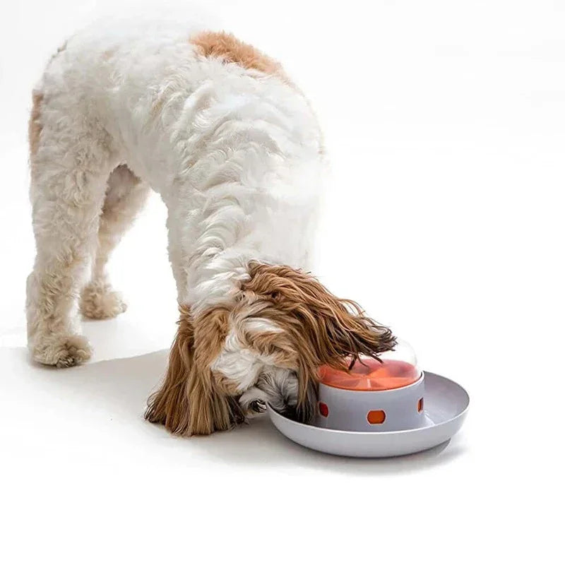 Interactieve Slow Feeder Puzzle Hondenbak Voedselveilig Duurzaam Mentale Stimulatie Gezonde Spijsvertering - Ruffy