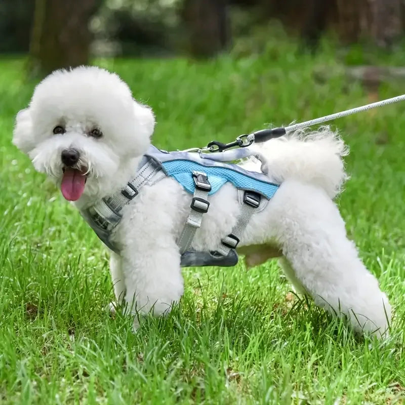 Hond Reflecterend Zomer Koelharnas - Ruffy