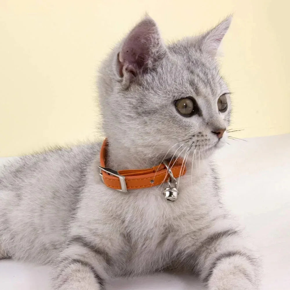Luxe Leren Kattenhalsband Verstelbaar Anti-Stik Ontwerp Zachte Comfortabele Pasvorm XS tot S - Ruffy