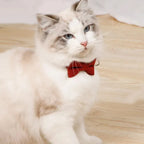 Elegante verstelbare kattenhalsband met vlinderdas voor speciale gelegenheden en dagelijks gebruik - Ruffy