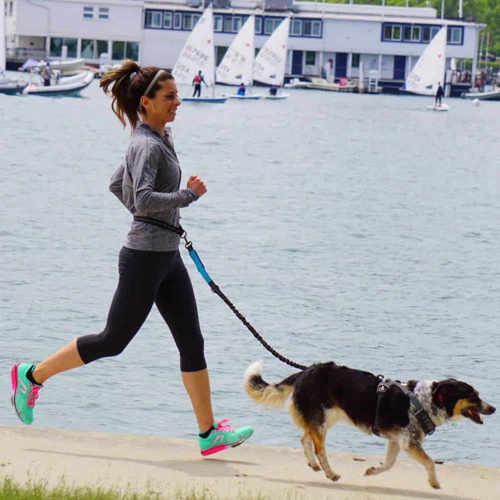 Hands-Free Intrekbare Hondenriem Met Heupriem Reflecterend Bungee Ontwerp Comfortabel Voor Wandelen en Rennen - Ruffy