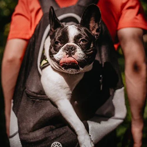 Reis Draag Rugzak Voor Kleine Honden - Ruffy