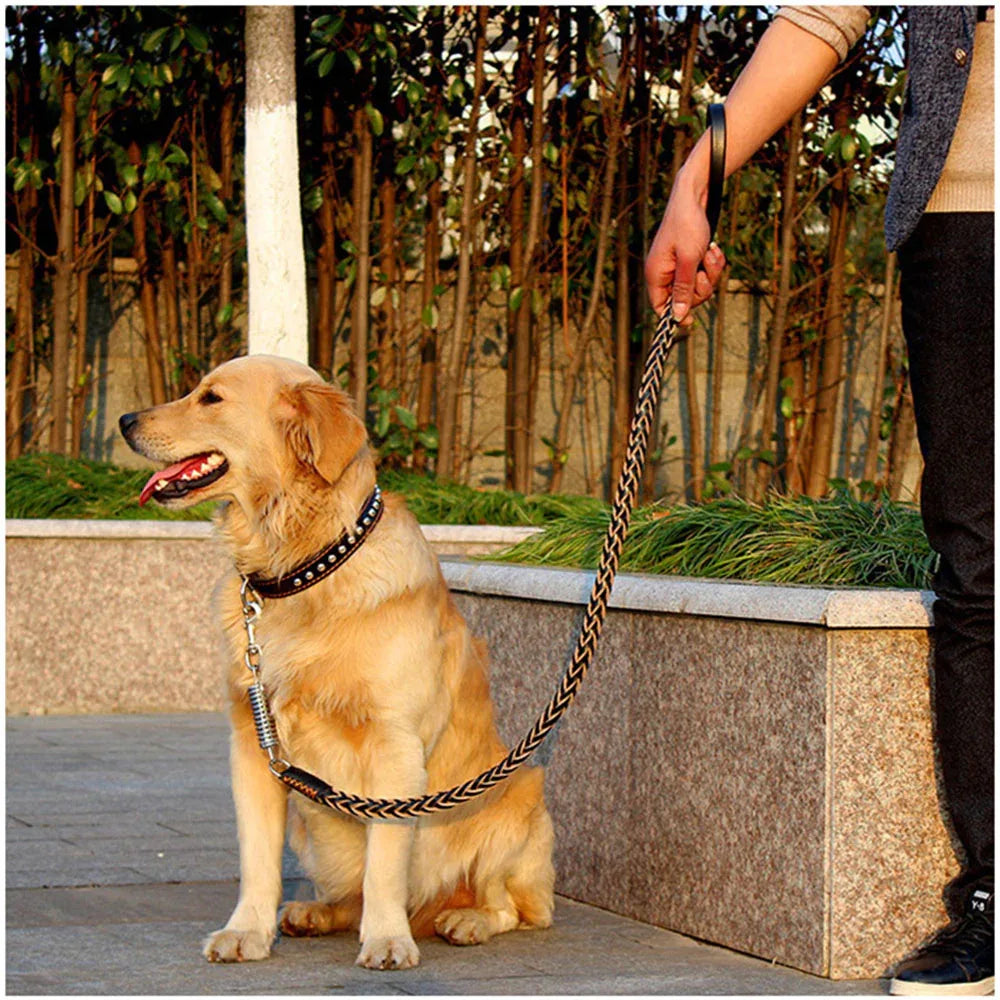 Gevlochten Stevige Honden Riem Van Leer - Ruffy