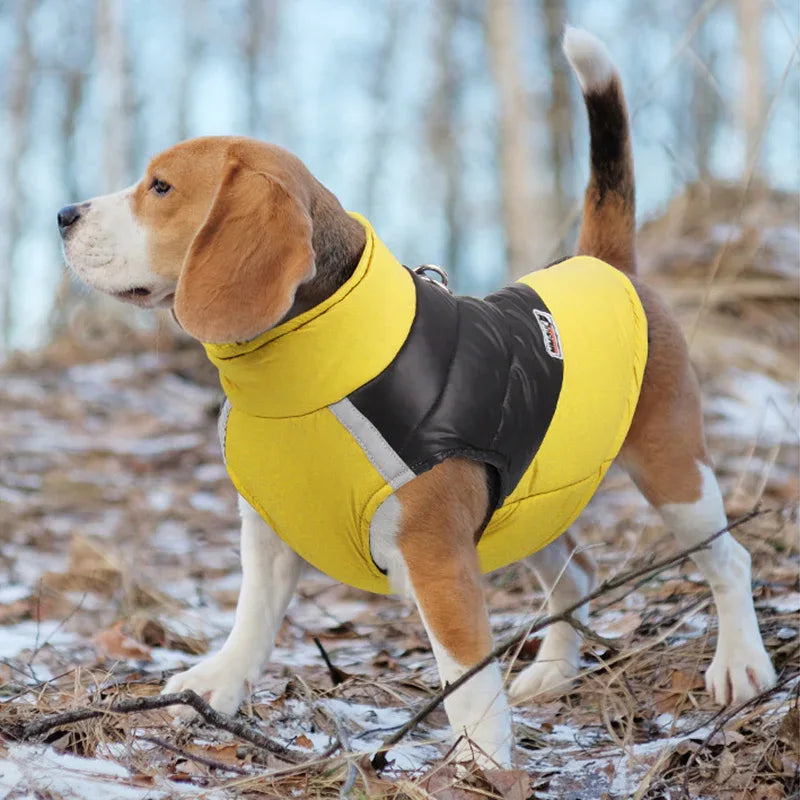Hondenjas Warm Gewatteerd Waterdicht - Ruffy
