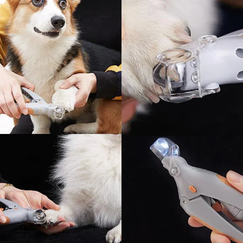 LED Nagelknipper Voor Honden Stressloos En Zichtbare Bloedvaten - Ruffy