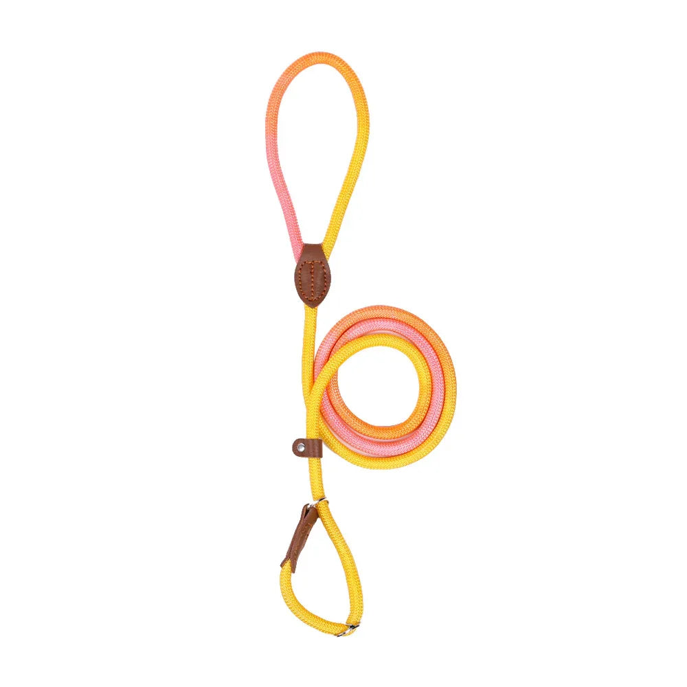 Kluwenvrije Hondenriem Ergonomisch Duurzaam Nylon Comfortabele Grip Stijlvol Ontwerp - Ruffy