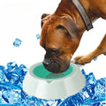 Verkoelende Hondenwaterbak Duurzaam Draagbaar Houdt Water Koel Beschikbaar in Groen en Blauw 470ml - Ruffy