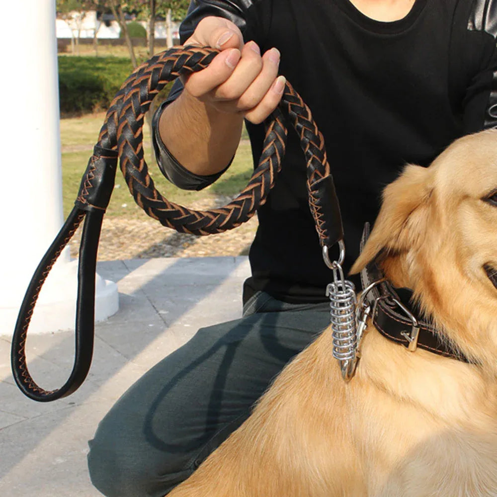 Gevlochten Stevige Honden Riem Van Leer - Ruffy