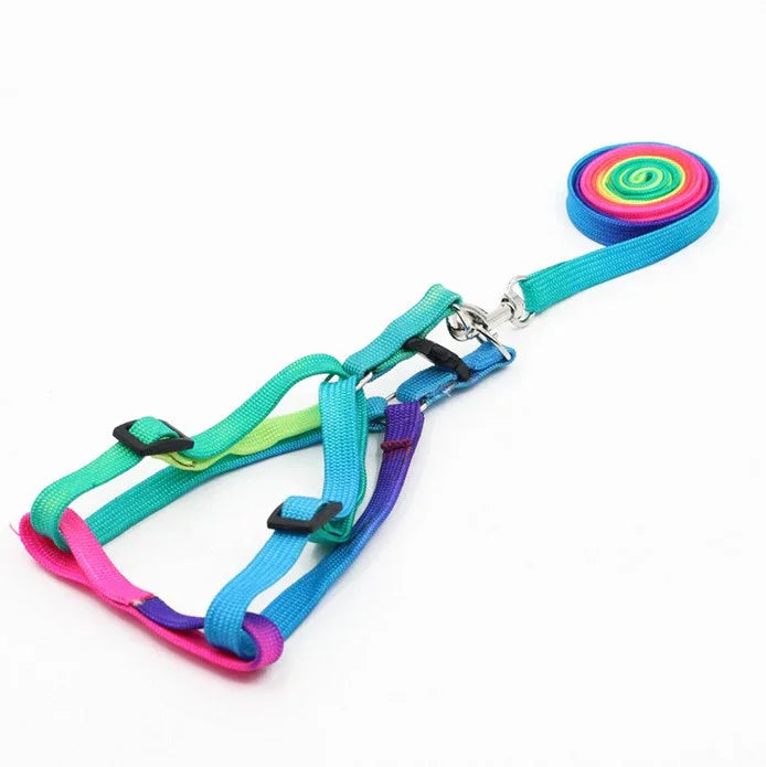 Regenboog Hondenharnas en Riem Set Verstelbaar Duurzaam Ergonomisch Ontwerp 120cm Riem - Ruffy