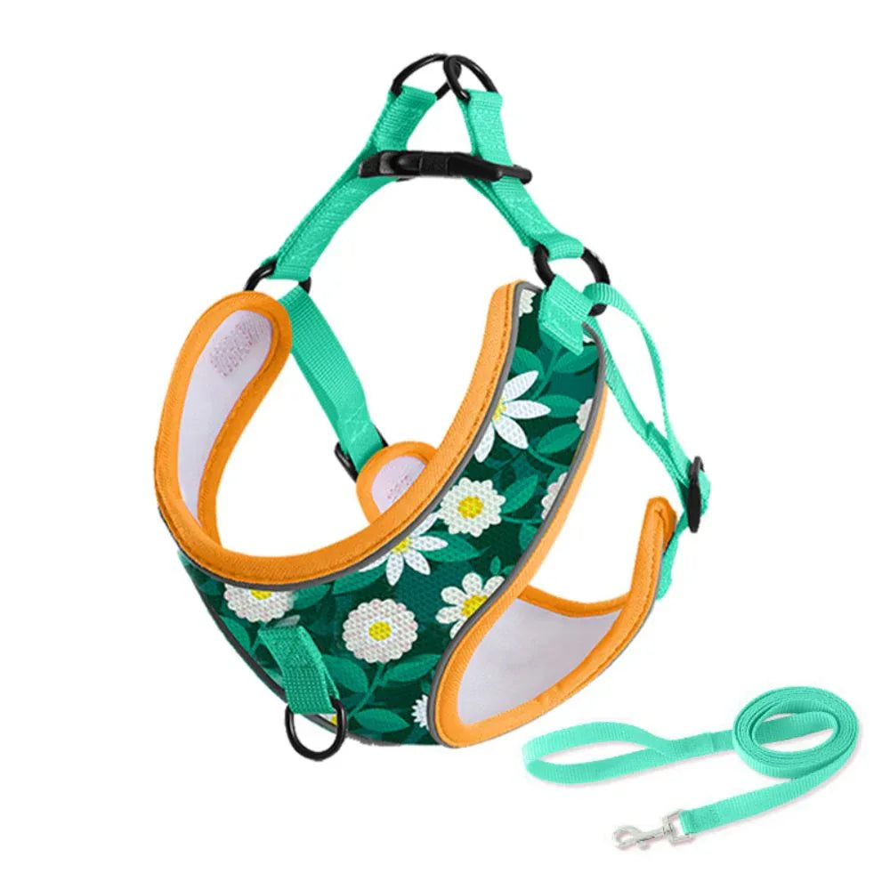 Sterke Hondenriem Reflecterend Stiksel Ergonomisch Handvat Duurzaam Polyester Geschikt voor Alle Honden - Ruffy