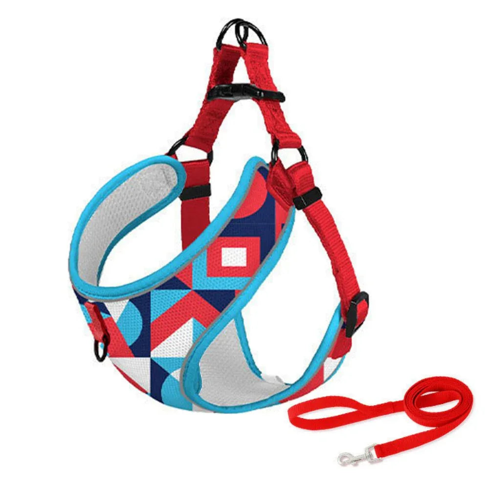 Sterke Hondenriem Reflecterend Stiksel Ergonomisch Handvat Duurzaam Polyester Geschikt voor Alle Honden - Ruffy